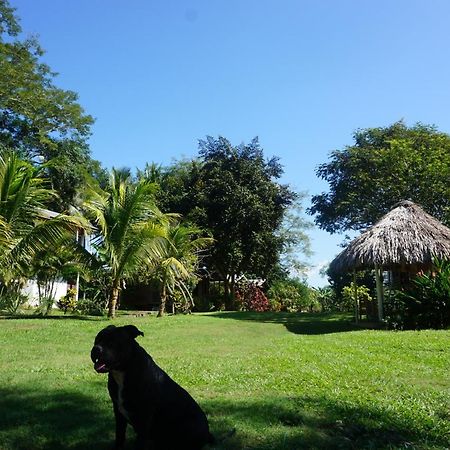 Mana Kai Camping & Cabins San Ignacio Extérieur photo